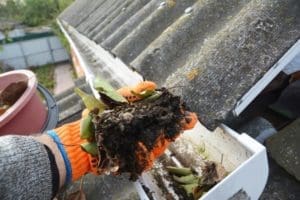 Cleaning Gutters