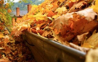 Clogged Gutters